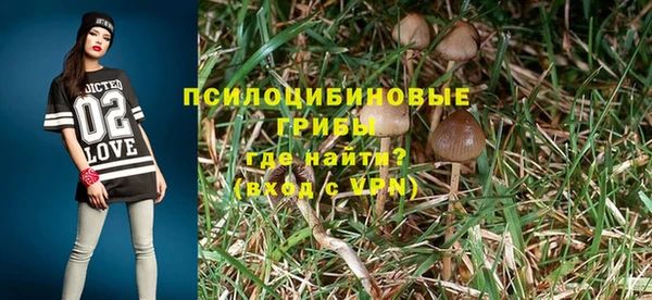 мдма Горнозаводск