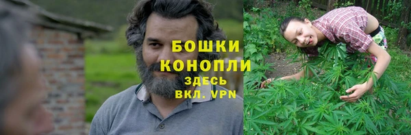 метадон Горняк