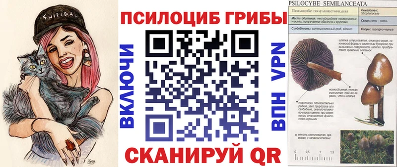 blacksprut как зайти  Мезень  Галлюциногенные грибы мицелий  купить  